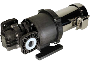 eclipse rotary gear pump